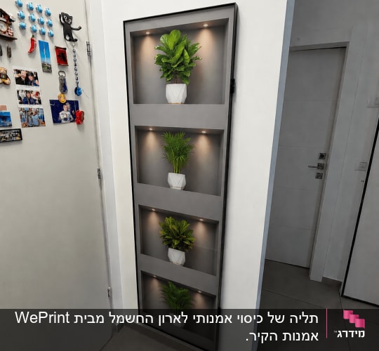 קיר עם מדפים ותאורה עם עציצים דקורטיביים